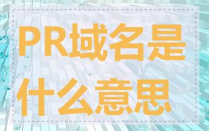 PR域名是什么意思