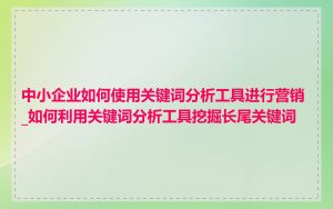中小企业如何使用关键词分析工具进行营销_如何利用关键词分析工具挖掘长尾关键词