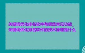 关键词优化排名软件有哪些常见功能_关键词优化排名软件的技术原理是什么
