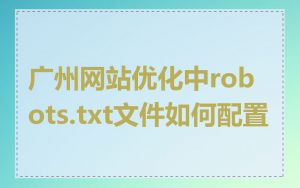 广州网站优化中robots.txt文件如何配置