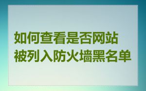 如何查看是否网站被列入防火墙黑名单