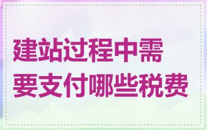 建站过程中需要支付哪些税费