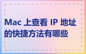 Mac 上查看 IP 地址的快捷方法有哪些