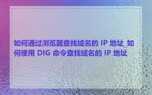 如何通过浏览器查找域名的 IP 地址_如何使用 DIG 命令查找域名的 IP 地址