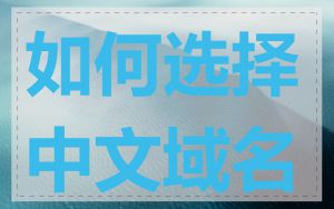 如何选择中文域名