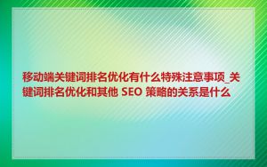 移动端关键词排名优化有什么特殊注意事项_关键词排名优化和其他 SEO 策略的关系是什么