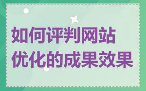 如何评判网站优化的成果效果