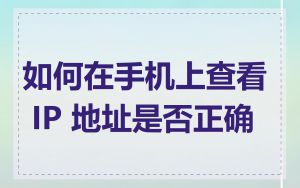 如何在手机上查看 IP 地址是否正确