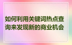 如何利用关键词热点查询来发现新的商业机会