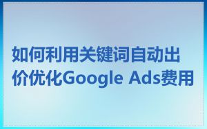 如何利用关键词自动出价优化Google Ads费用