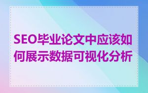 SEO毕业论文中应该如何展示数据可视化分析