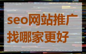 seo网站推广找哪家更好