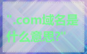 ".com域名是什么意思?"