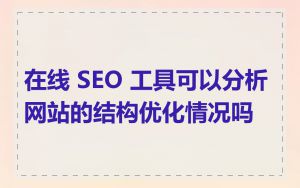 在线 SEO 工具可以分析网站的结构优化情况吗