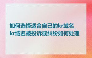 如何选择适合自己的kr域名_kr域名被投诉或纠纷如何处理