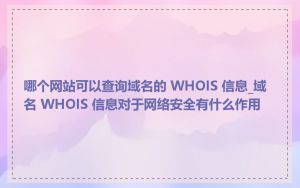 哪个网站可以查询域名的 WHOIS 信息_域名 WHOIS 信息对于网络安全有什么作用