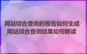 网站综合查询的报告如何生成_网站综合查询结果如何解读