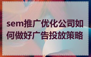 sem推广优化公司如何做好广告投放策略
