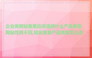企业类网站备案应该选择什么产品类型_网站性质不同,域名备案产品类型怎么选