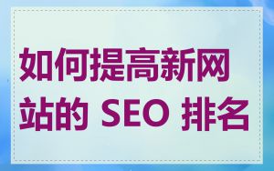 如何提高新网站的 SEO 排名