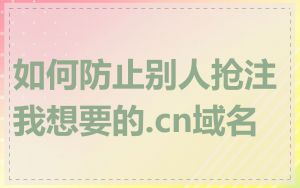 如何防止别人抢注我想要的.cn域名