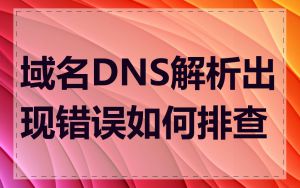 域名DNS解析出现错误如何排查