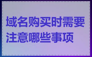 域名购买时需要注意哪些事项