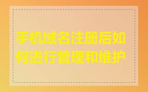 手机域名注册后如何进行管理和维护