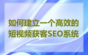 如何建立一个高效的短视频获客SEO系统