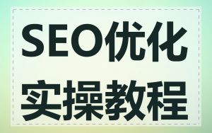 SEO优化实操教程