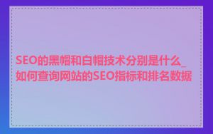 SEO的黑帽和白帽技术分别是什么_如何查询网站的SEO指标和排名数据
