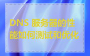 DNS 服务器的性能如何测试和优化