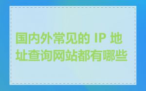 国内外常见的 IP 地址查询网站都有哪些
