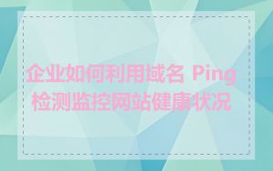 企业如何利用域名 Ping 检测监控网站健康状况