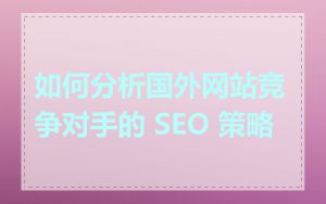 如何分析国外网站竞争对手的 SEO 策略