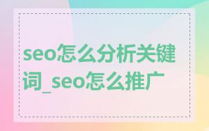 seo怎么分析关键词_seo怎么推广