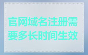官网域名注册需要多长时间生效