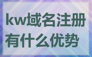 kw域名注册有什么优势