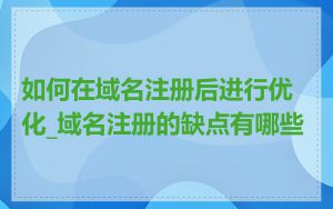 如何在域名注册后进行优化_域名注册的缺点有哪些