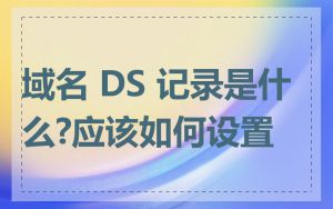 域名 DS 记录是什么?应该如何设置