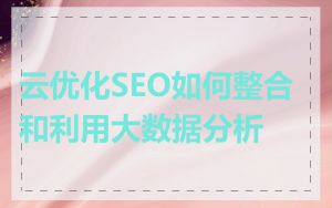 云优化SEO如何整合和利用大数据分析