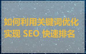 如何利用关键词优化实现 SEO 快速排名