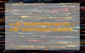 seo推广优化软件如何进行站内优化_seo推广优化软件如何进行关键词优化