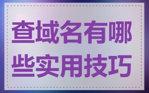 查域名有哪些实用技巧