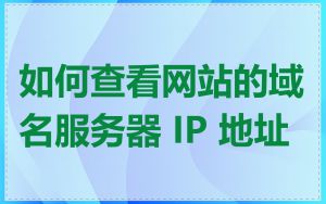 如何查看网站的域名服务器 IP 地址