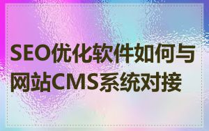 SEO优化软件如何与网站CMS系统对接