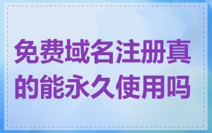 免费域名注册真的能永久使用吗