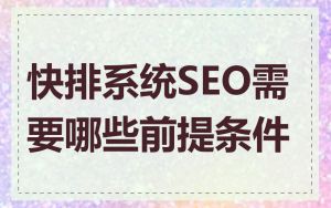 快排系统SEO需要哪些前提条件