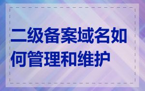 二级备案域名如何管理和维护
