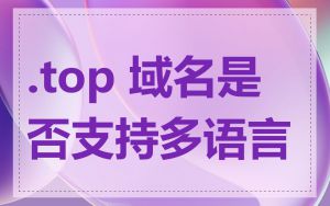 .top 域名是否支持多语言
